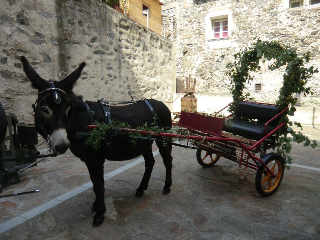 Le Moulin De Sournia Hotel ภายนอก รูปภาพ